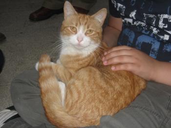 Canela Bild von Canela