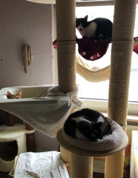Pamino Bild von Pamino