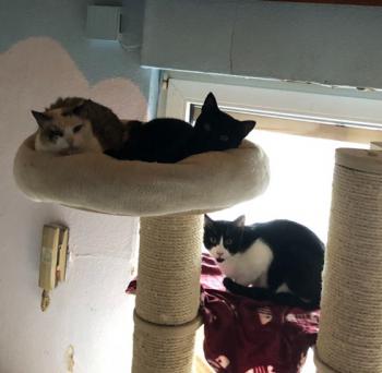 Pamino Bild von Pamino
