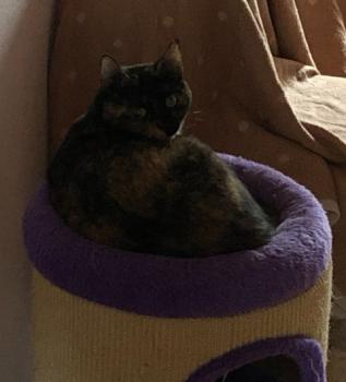 Jenny Bild von Jenny