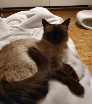 Sophia Bild von Sophia