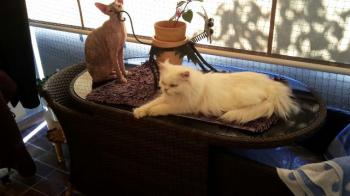 Blanca Bild von Blanca