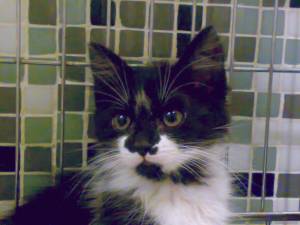 Calixto Bild von Calixto