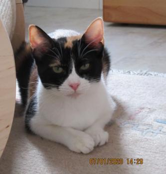 Loulou Bild von Loulou