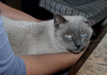 Tatan Bild von Tatan