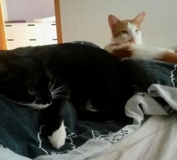 Deisy Bild von Deisy