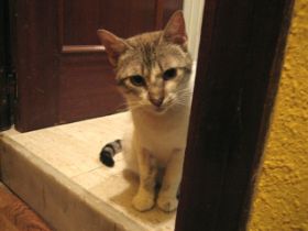 Vita Bild von Vita