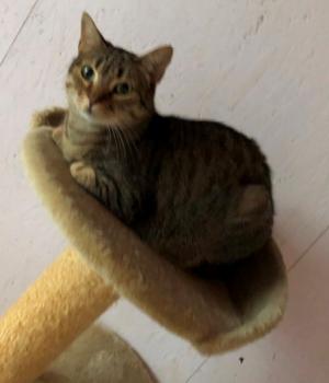 Nora Bild von Nora