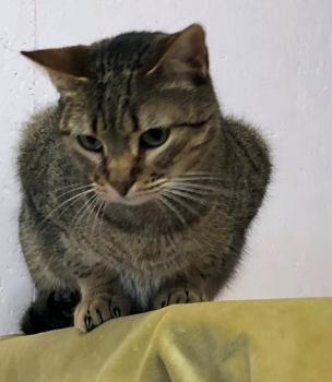 Nora Bild von Nora