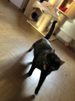 Jenny Bild von Jenny