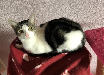 Bosco Bild von Bosco