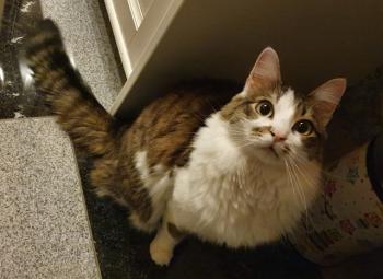 Suzette Bild von Suzette