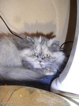 Bella Bild von Magui
