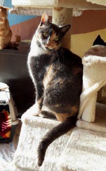 Trina Bild von Trina