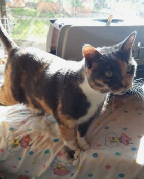 Trina Bild von Trina