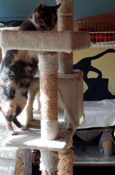 Trina Bild von Trina