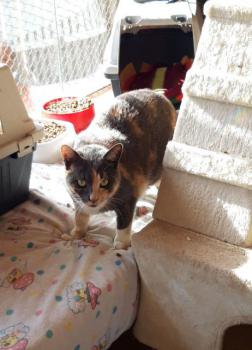 Trina Bild von Trina