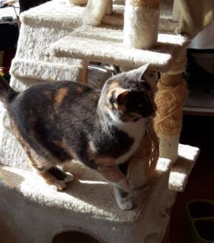 Trina Bild von Trina