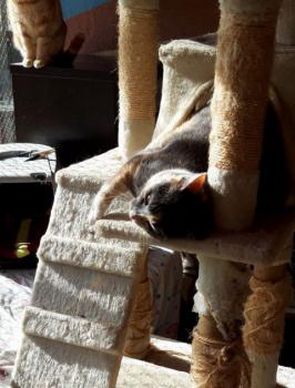 Trina Bild von Trina