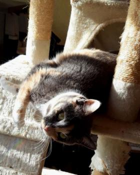 Trina Bild von Trina