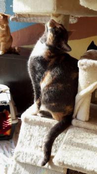 Trina Bild von Trina