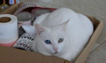 Yaiza Bild von Yaiza