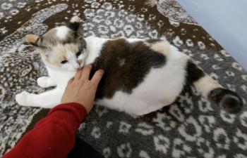 Viki Bild von Viki