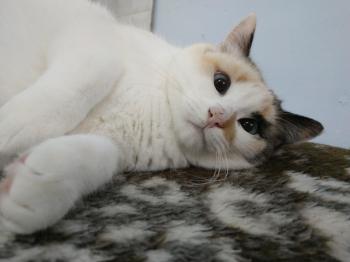 Viki Bild von Viki