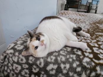 Viki Bild von Viki