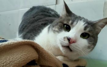 Selina Bild von Selina