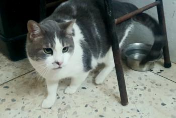 Selina Bild von Selina