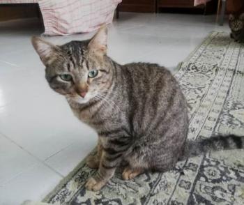 Kiko Bild von Kiko