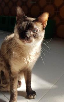 Agustina Bild von Agustina