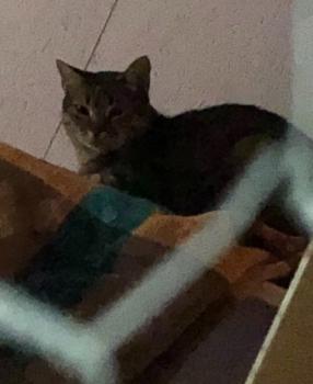 Nora Bild von Nora