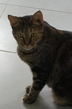 Sara Bild von Sara