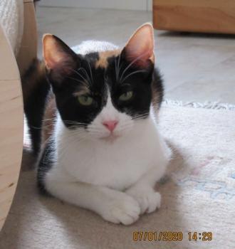 Loulou Bild von Loulou