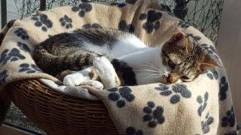 Maisha Bild von Maisha