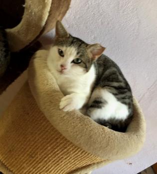 Sisi Bild von Sisi