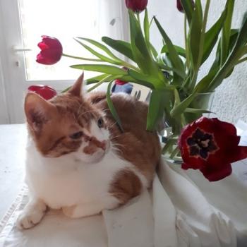 Quini Bild von Quini