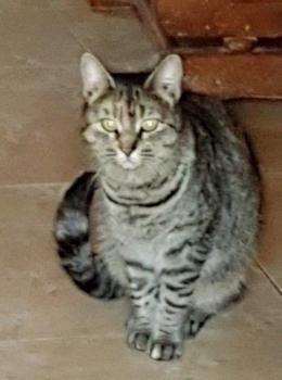 Naila Bild von Naila
