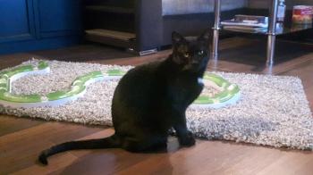 Samy Bild von Samy
