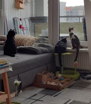 Maisha Bild von Maisha