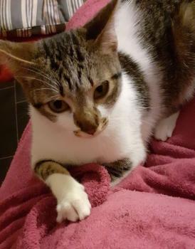 Maisha Bild von Maisha