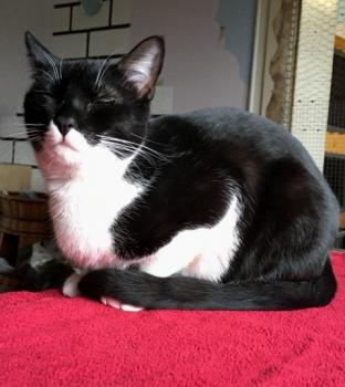 Pao Bild von Pao