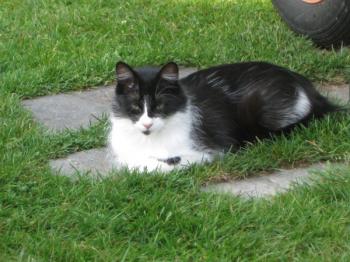 Lavinia Bild von Lavinia - Silke