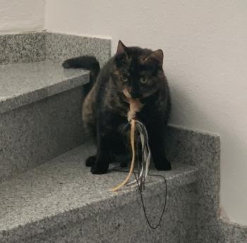 Jenny Bild von Jenny