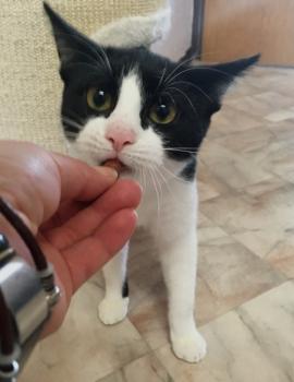 Ralfi Bild von Ralfi