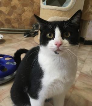 Ralfi Bild von Ralfi