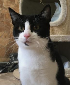 Ralfi Bild von Ralfi