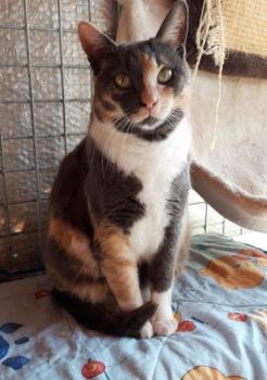 Trina Bild von Trina